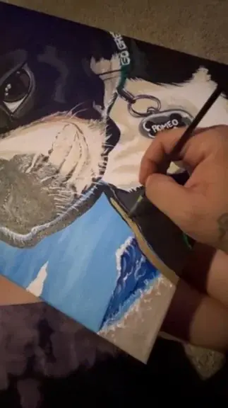 Painting the Romeo commission